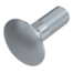 DIN-603-Flachrundschraube-Stahl-8-8-verzinkt.Vollbild.png